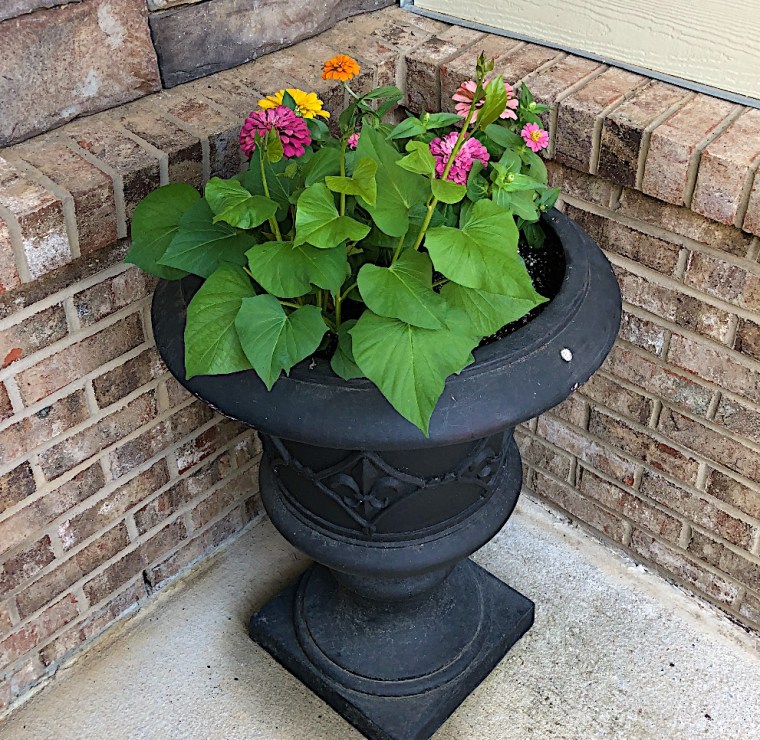 063C96C5-3663-4B2D-A3C0-B6C7F1F1DAD3